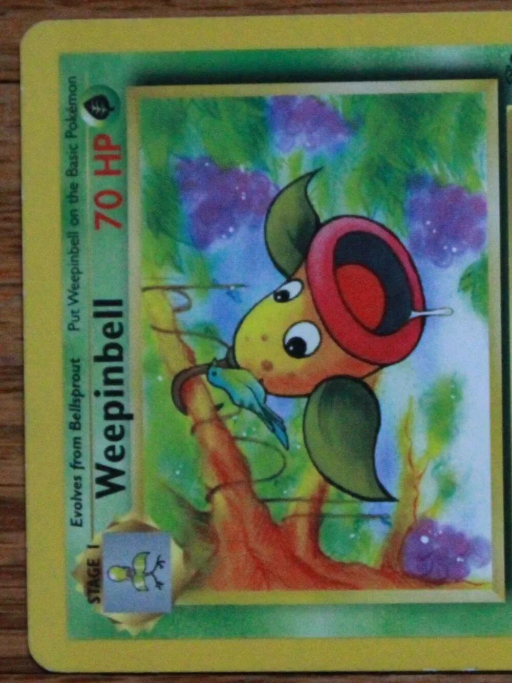 Vintage Pokemon 1999 
